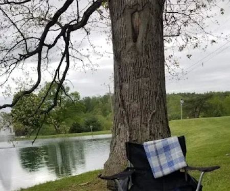 Big Arb's Campground