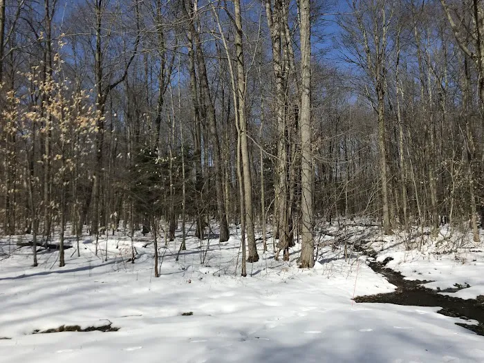 Beaumont Scout Reservation, Lake Erie Council BSA 8