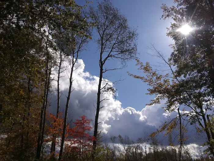 Lake Grove Park 1