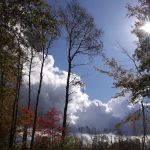 Lake Grove Park