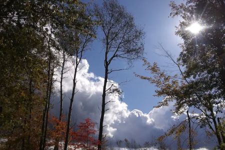 Lake Grove Park