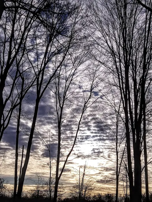 Lake Grove Park 4