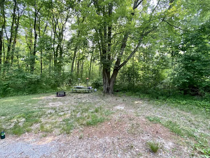 Mill Creek Campground 2