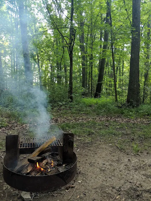 Mill Creek Campground 8
