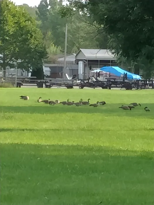 Lakeside Campground 6