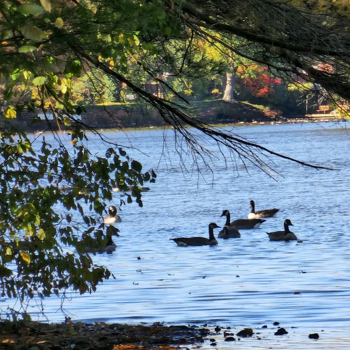 Westville Lake 8
