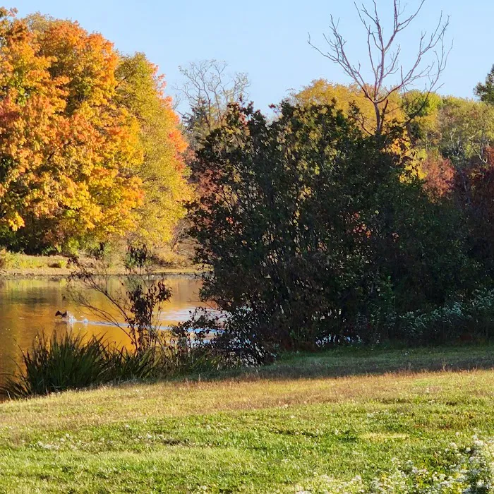 Westville Lake 4