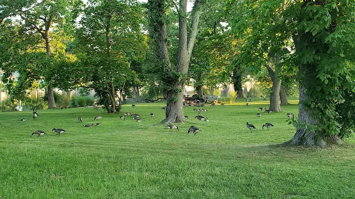 Westville Lake 9