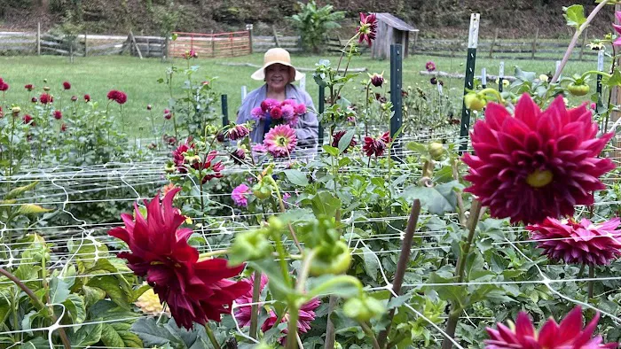 Morning Dew Farm 5