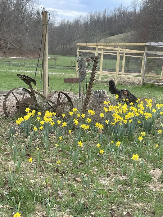 Morning Dew Farm 6