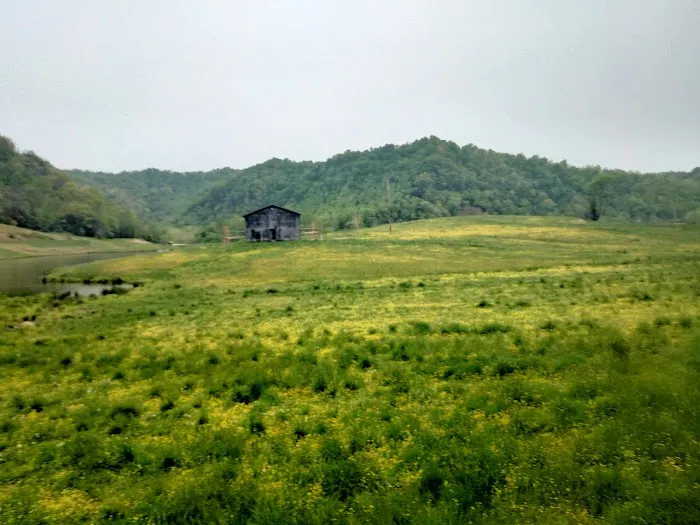 Crockettsville 5