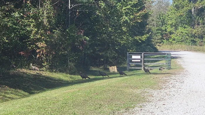 Cross Mountain Campground 4