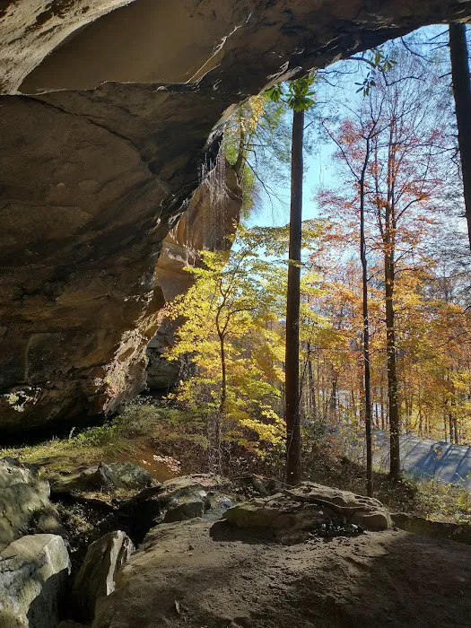 Grove Campground 2