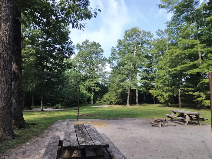 Little Lick Campground 8