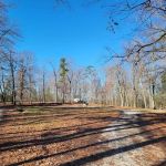 Little Lick Campground