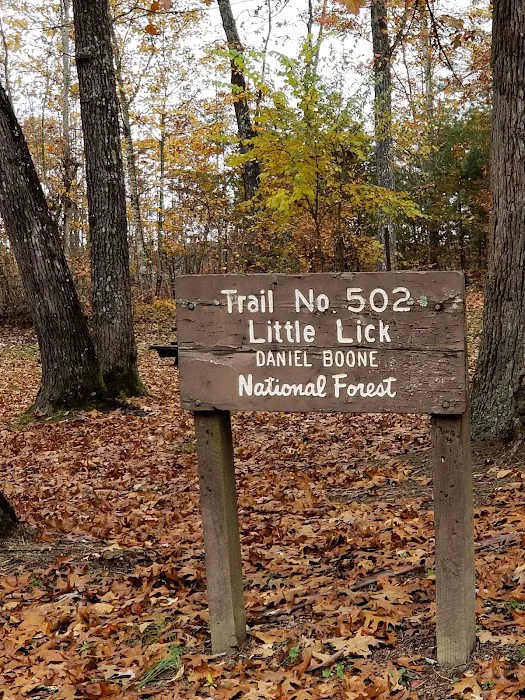 Little Lick Campground 10