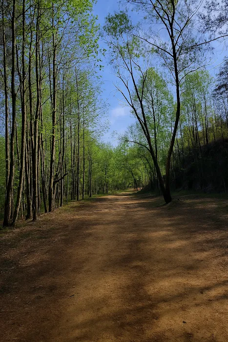Gray Hills 1
