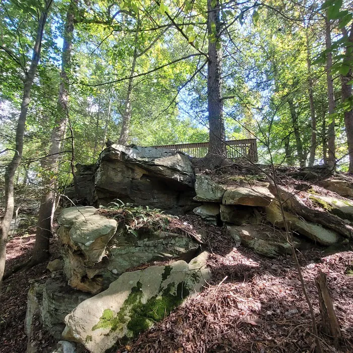 Cumberland Falls RV Campground 5