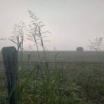 Mandolin Farm Campground