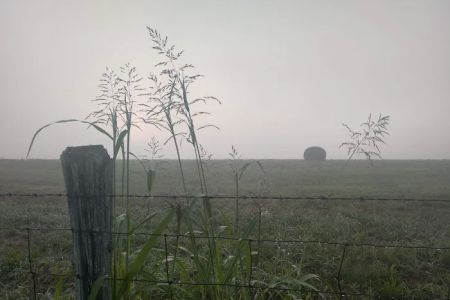 Mandolin Farm Campground