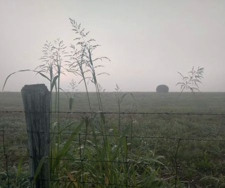 Mandolin Farm Campground