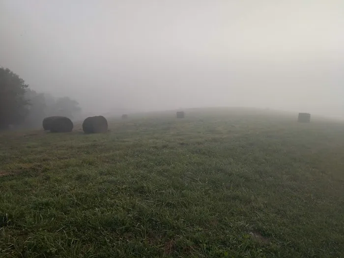 Mandolin Farm Campground 10