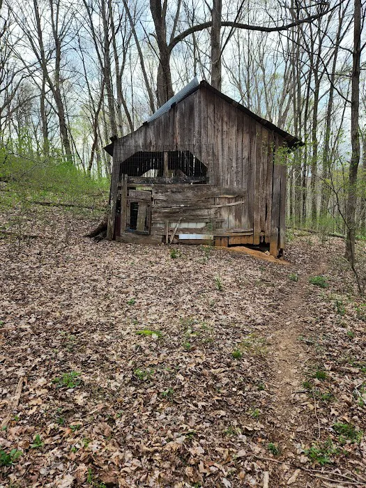 Nettlecarrier Creek Camp 6