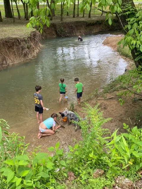 Waterwheel RV Camp 5