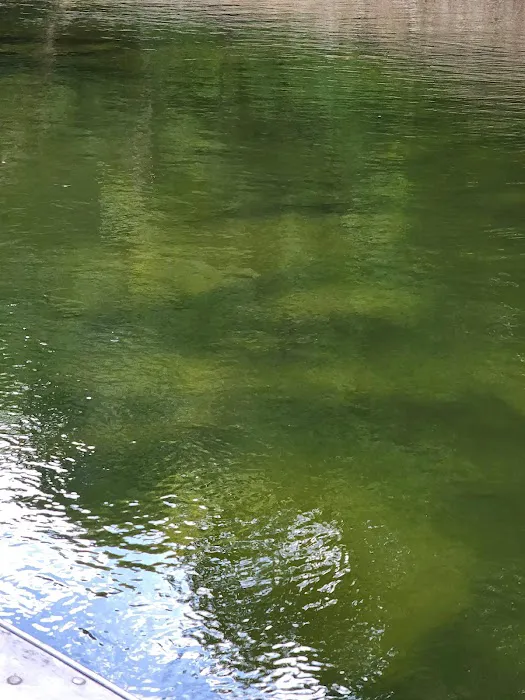 U.S. Army Corps of Engineers Fall Creek Campground 5