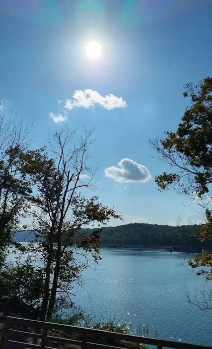 U.S. Army Corps of Engineers Fall Creek Campground 9