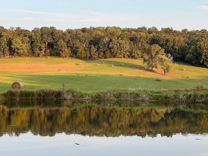 The Point Campground & Farm - Lake Cumberland KY Nightly Campground and Annual RV Park 5