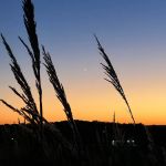 The Point Campground & Farm - Lake Cumberland KY Nightly Campground and Annual RV Park