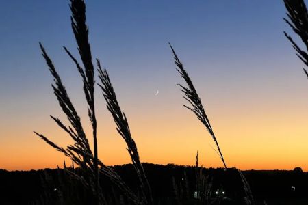 The Point Campground & Farm - Lake Cumberland KY Nightly Campground and Annual RV Park