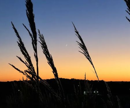 The Point Campground & Farm - Lake Cumberland KY Nightly Campground and Annual RV Park