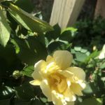 A & L Mobile Home Village