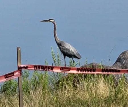 Duck Head campsite