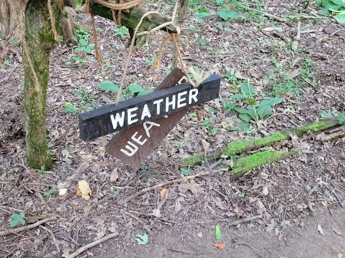 Craig Conservation Yard 7
