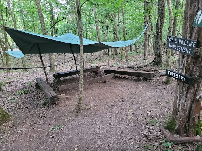 Craig Conservation Yard 5
