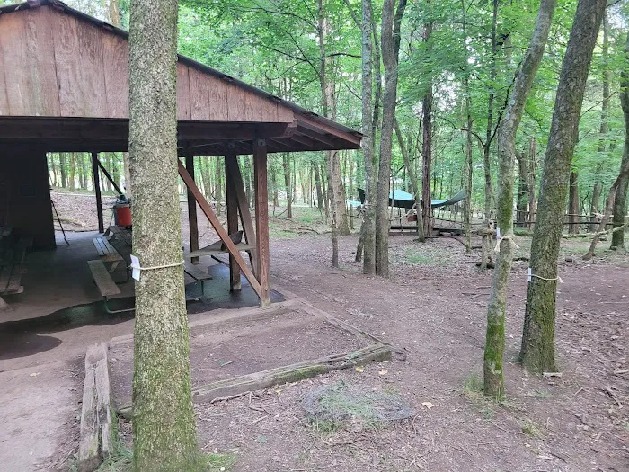 Craig Conservation Yard 4