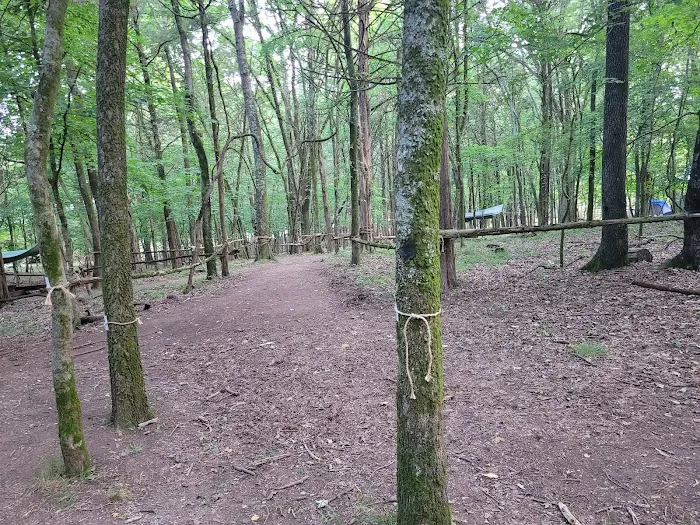 Craig Conservation Yard 3