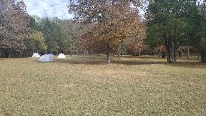 Camp light 3