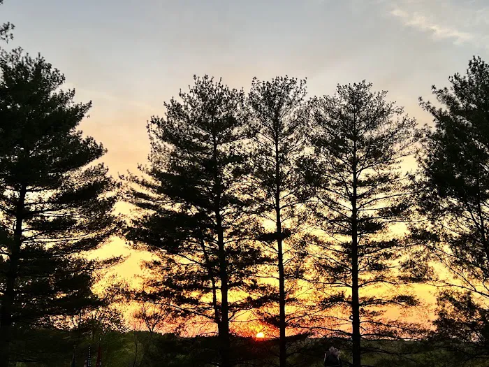 Boxwell Reservation 7