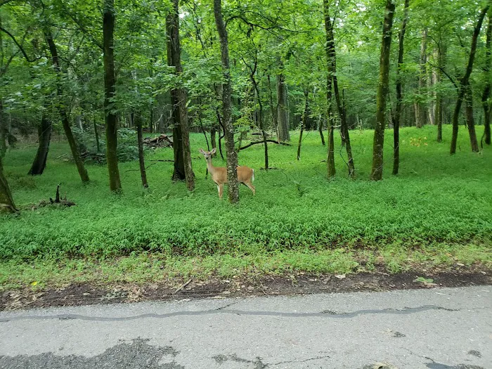 Boxwell Reservation 8