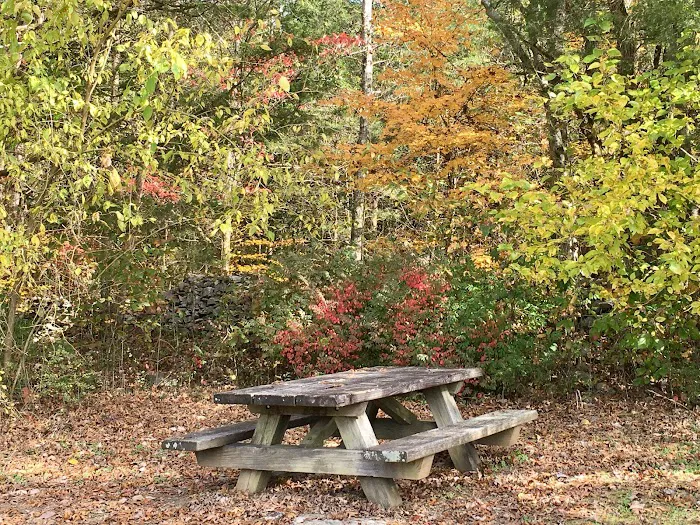Indian Creek Campground, Nature at its Best! 10