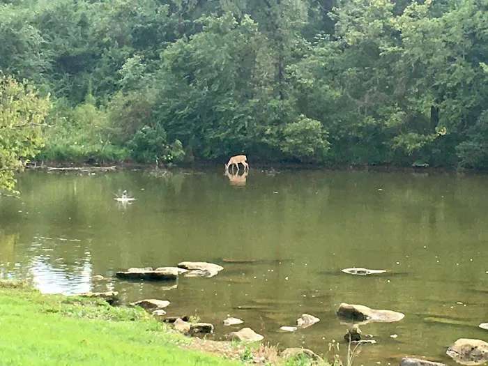 Indian Creek Campground, Nature at its Best! 2