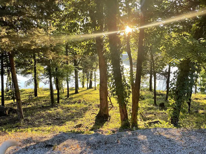 Edgar Evins State Park Campground 6