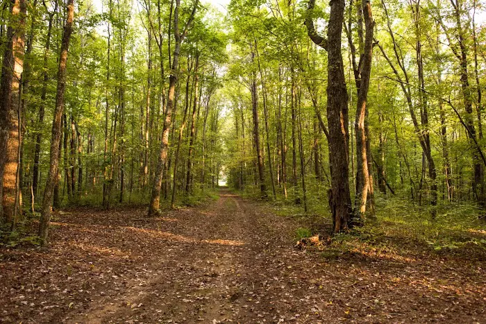 Belle and Beau Acres 1