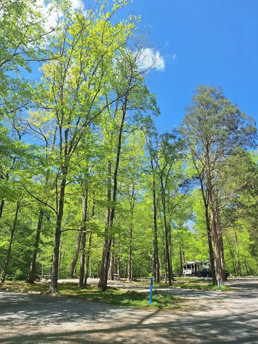 Montgomery Bell State Park Group Camp 1 4