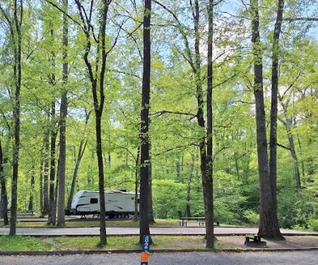 Montgomery Bell State Park Group Camp 1