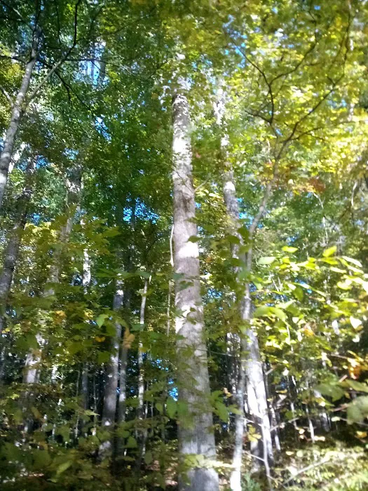 Montgomery Bell State Park Group Camp 2 9